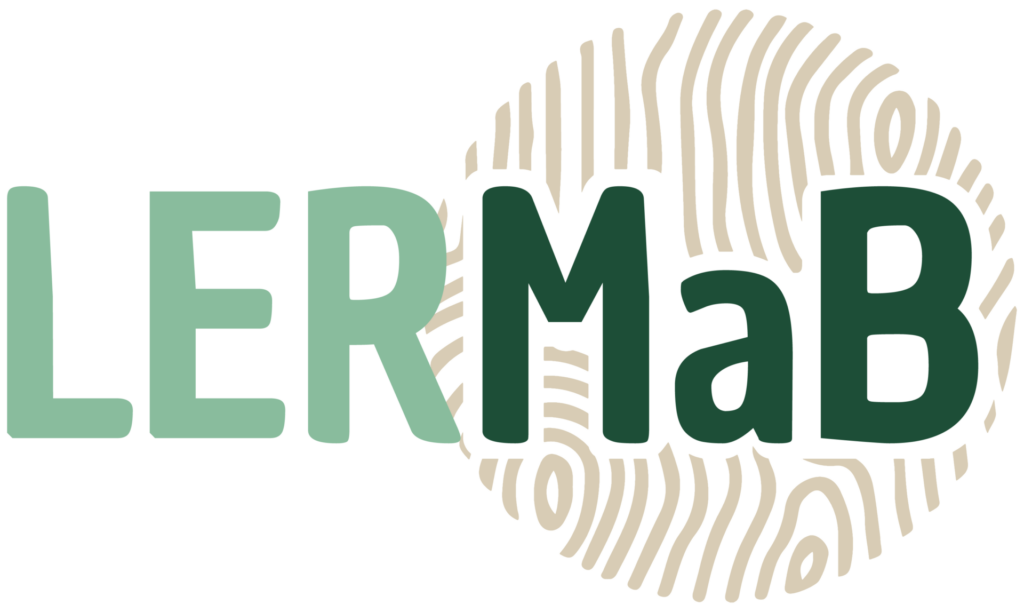 Logo LERMAB
