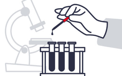 Research and Development Engineer in Wood