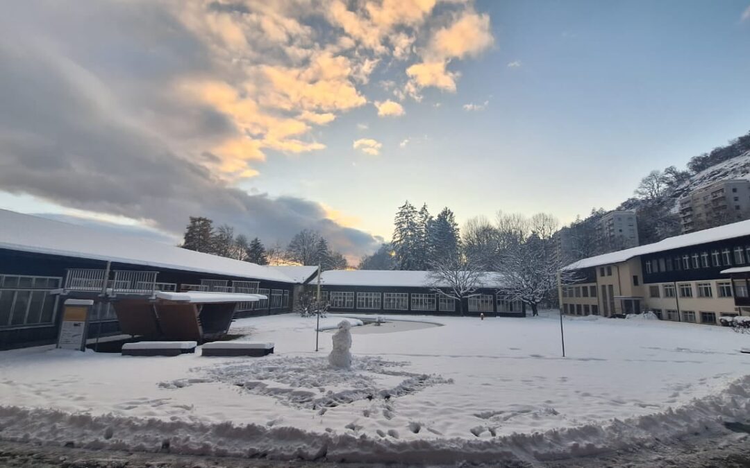 Un semestre suisse pour explorer la construction bois