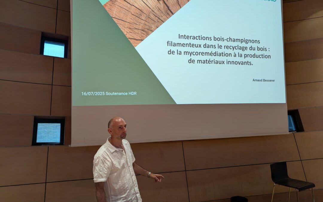 Soutenance d’Habilitation à Diriger des Recherches d’Arnaud Besserer