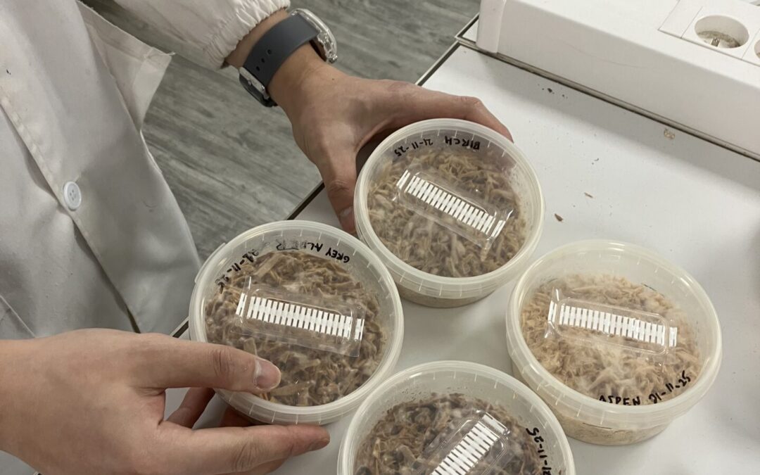 Séjour scientifique à l’ENSTIB