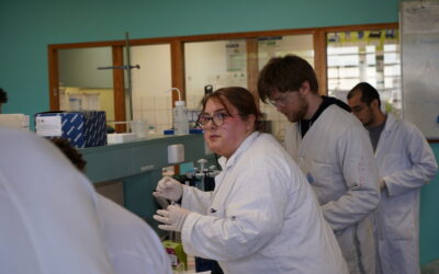 TP d’Excellence ORION : convertir le bois en bioéthanol