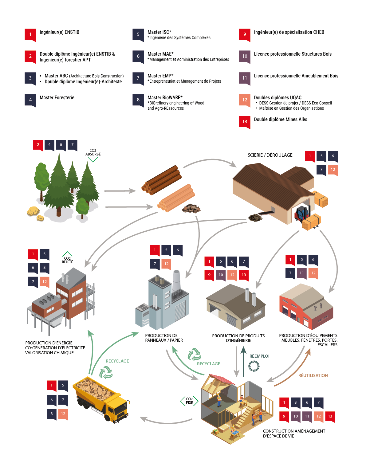 Schéma-economie-ultra-circulaire-Enstib-2026 Schéma de l'économie circulaire de la filière bois