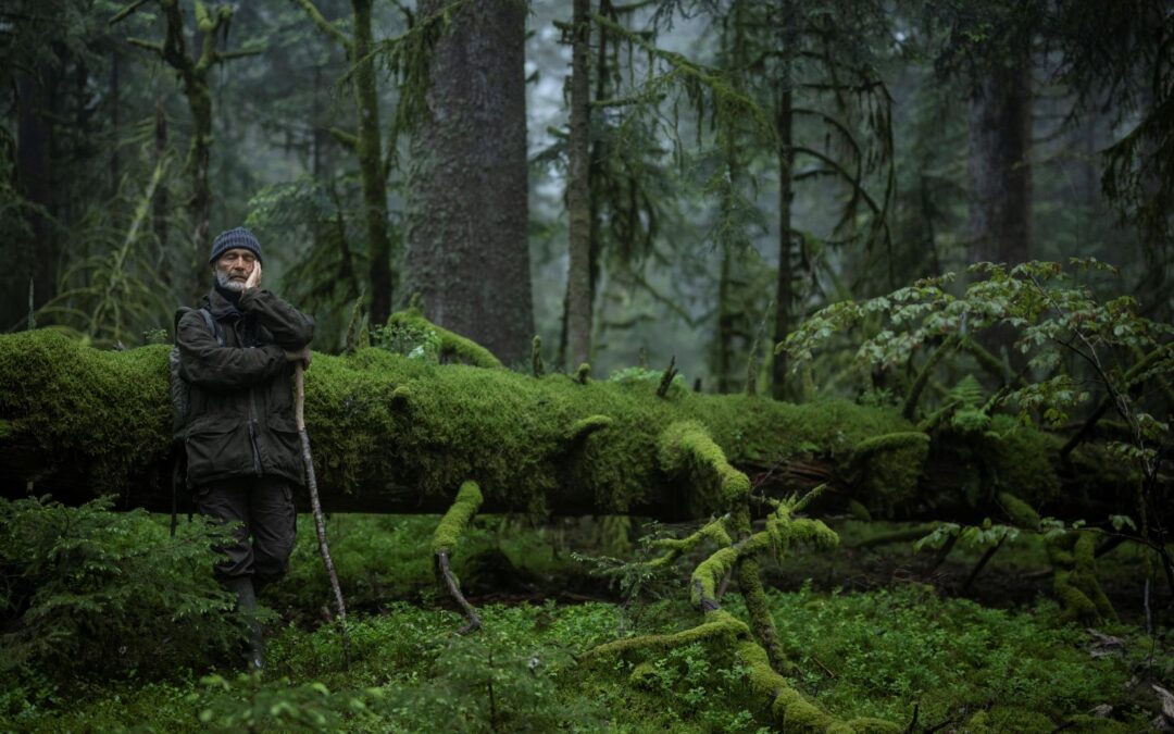 La forêt peut elle soigner ?