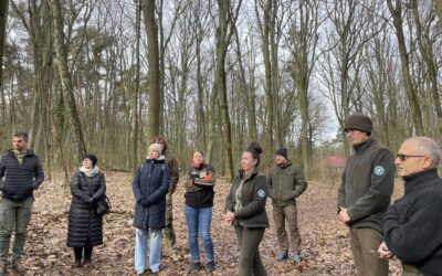 Deux jours en Pologne avec l'Erasmus Forestry Network