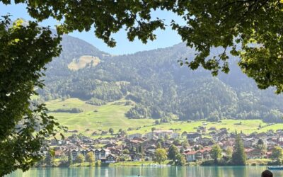 INTERFOB 2026 : l’ENSTIB au rendez-vous international du bois en Suisse